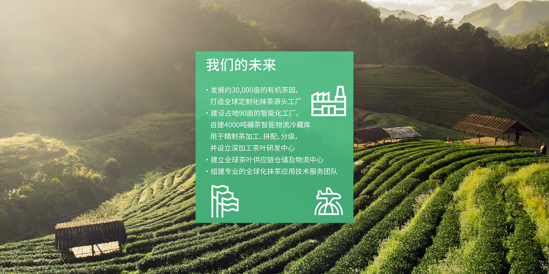 通栏图片