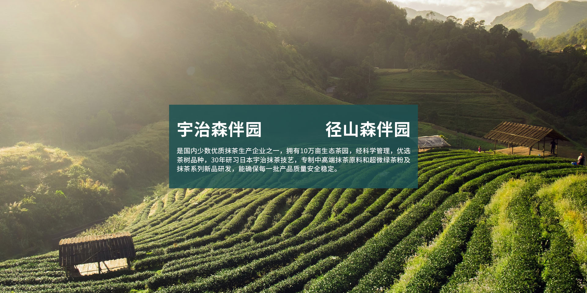 通栏图片